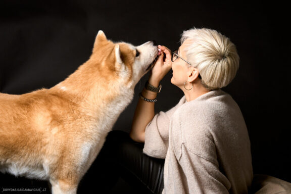Augintinio šuns fotosesija foto studijoje, Vilnius, Šiaurės Miestelis, Žirmūnai. Akita dog photoshoot studio, Fotografas: Dovydas Gaidamavičius © www.DovydasGaidamavicius.lt www.Dovis.lt