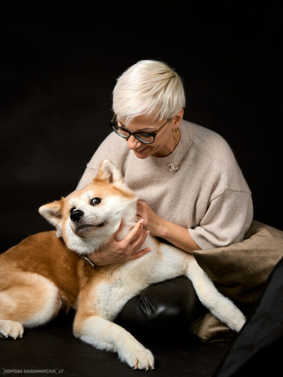 Augintinio šuns fotosesija foto studijoje, Vilnius, Šiaurės Miestelis, Žirmūnai. Akita dog photoshoot studio, Fotografas: Dovydas Gaidamavičius © www.DovydasGaidamavicius.lt www.Dovis.lt
