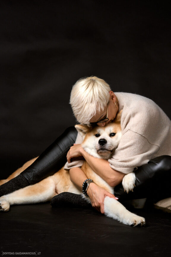 Augintinio šuns fotosesija foto studijoje, Vilnius, Šiaurės Miestelis, Žirmūnai. Akita dog photoshoot studio, Fotografas: Dovydas Gaidamavičius © www.DovydasGaidamavicius.lt www.Dovis.lt