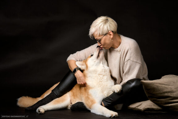 Augintinio šuns fotosesija foto studijoje, Vilnius, Šiaurės Miestelis, Žirmūnai. Akita dog photoshoot studio, Fotografas: Dovydas Gaidamavičius © www.DovydasGaidamavicius.lt www.Dovis.lt