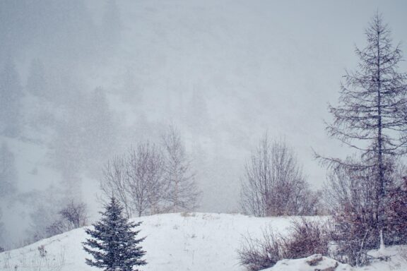 Prancūzija Alpe d'Huez, France, Kelionė, Kalnai, Slidinėjimas, Žiema Fotografas: Dovydas Gaidamavičius Dovis www.Dovis.lt © www.DovydasGaidamavicius.lt 