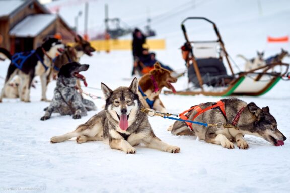Prancūzija Alpe d'Huez, France, Kelionė, Kalnai, Slidinėjimas, Žiema Fotografas: Dovydas Gaidamavičius Dovis www.Dovis.lt © www.DovydasGaidamavicius.lt 