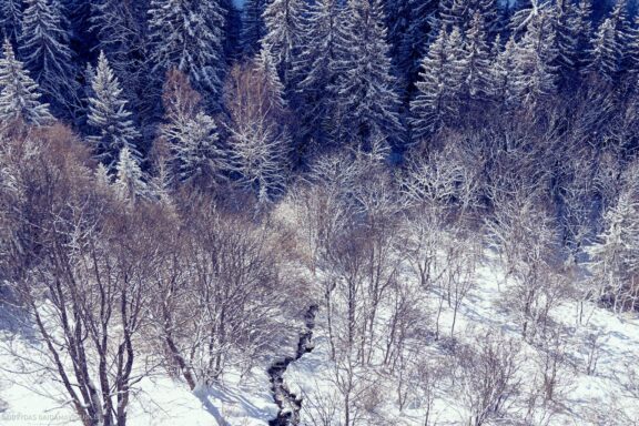 Prancūzija Alpe d'Huez, France, Kelionė, Kalnai, Slidinėjimas, Žiema Fotografas: Dovydas Gaidamavičius Dovis www.Dovis.lt © www.DovydasGaidamavicius.lt 
