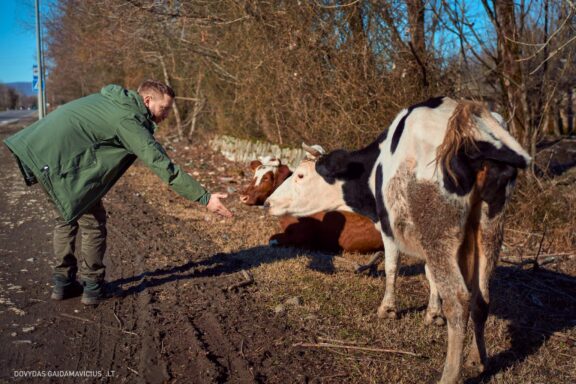 Gruzija, Sakartvelas, Mestia, Svaneti, Kelionė, Kalnai, Slidinėjimas, Žiema Fotografas: Dovydas Gaidamavičius Dovis www.Dovis.lt © www.DovydasGaidamavicius.lt  @DGaidamavicius