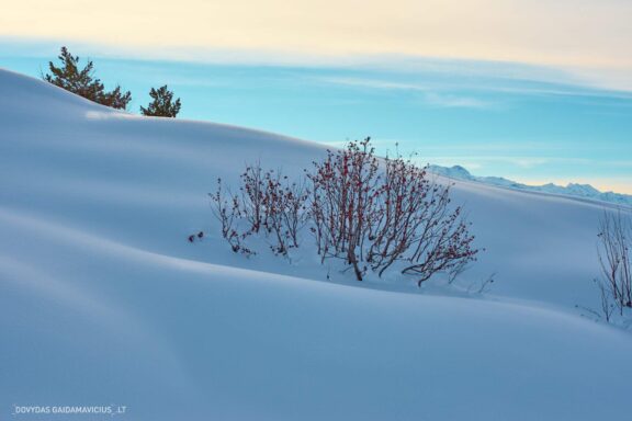 Gruzija, Sakartvelas, Mestia, Svaneti, Kelionė, Kalnai, Slidinėjimas, Žiema Fotografas: Dovydas Gaidamavičius Dovis www.Dovis.lt © www.DovydasGaidamavicius.lt  @DGaidamavicius