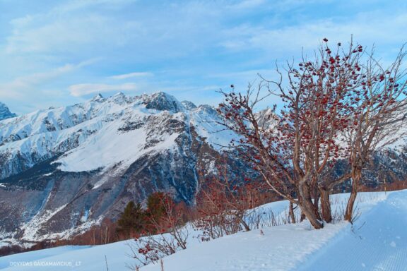 Gruzija, Sakartvelas, Mestia, Svaneti, Kelionė, Kalnai, Slidinėjimas, Žiema Fotografas: Dovydas Gaidamavičius Dovis www.Dovis.lt © www.DovydasGaidamavicius.lt  @DGaidamavicius