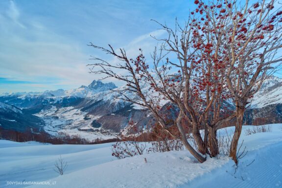 Gruzija, Sakartvelas, Mestia, Svaneti, Kelionė, Kalnai, Slidinėjimas, Žiema Fotografas: Dovydas Gaidamavičius Dovis www.Dovis.lt © www.DovydasGaidamavicius.lt  @DGaidamavicius