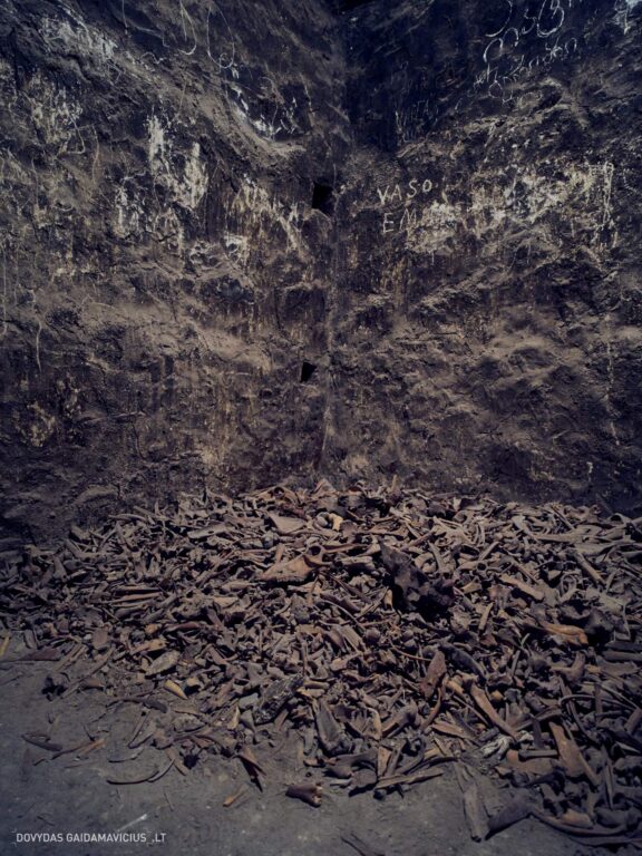 Gruzija, Sakartvelas, Mestia, Svaneti, Kelionė, Kalnai, Slidinėjimas, Žiema Fotografas: Dovydas Gaidamavičius Dovis www.Dovis.lt © www.DovydasGaidamavicius.lt  @DGaidamavicius