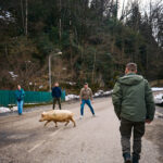 Sakartvelas, Gruzija, Mestia, Svaneti, Kelionė, Kalnai, Slidinėjimas, Žiema 2026 Fotografas: Dovydas Gaidamavičius Dovis www.Dovis.lt © www.DovydasGaidamavicius.lt  @DGaidamavicius