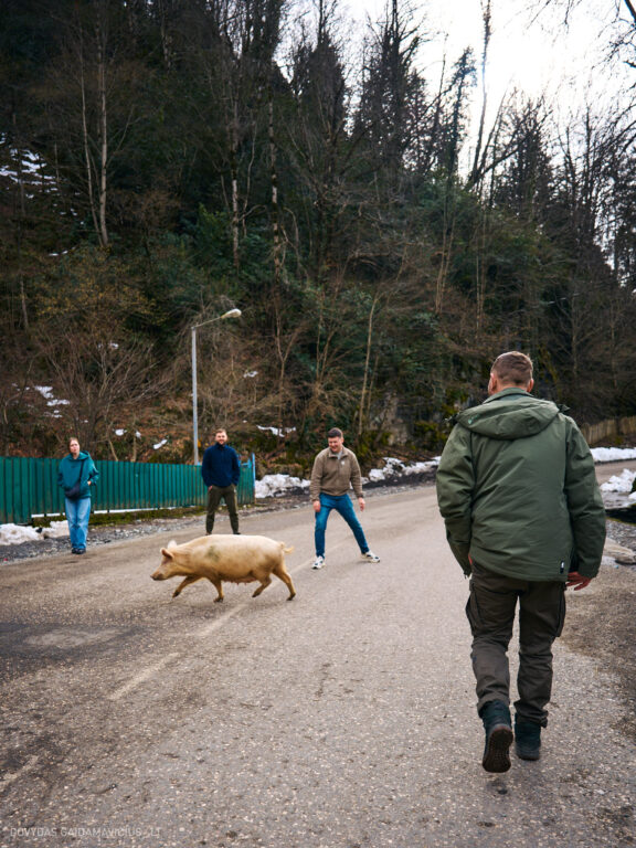 Sakartvelas, Gruzija, Mestia, Svaneti, Kelionė, Kalnai, Slidinėjimas, Žiema 2026 Fotografas: Dovydas Gaidamavičius Dovis www.Dovis.lt © www.DovydasGaidamavicius.lt  @DGaidamavicius