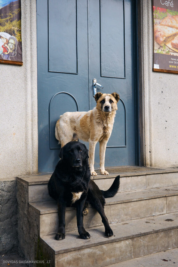 Sakartvelas, Gruzija, Mestia, Svaneti, Kelionė, Kalnai, Slidinėjimas, Žiema 2026 Fotografas: Dovydas Gaidamavičius Dovis www.Dovis.lt © www.DovydasGaidamavicius.lt  @DGaidamavicius