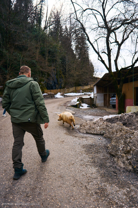 Sakartvelas, Gruzija, Mestia, Svaneti, Kelionė, Kalnai, Slidinėjimas, Žiema 2026 Fotografas: Dovydas Gaidamavičius Dovis www.Dovis.lt © www.DovydasGaidamavicius.lt  @DGaidamavicius