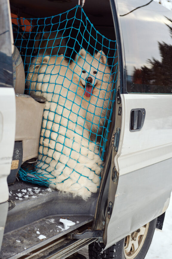 Sakartvelas, Gruzija, Mestia, Svaneti, Kelionė, Kalnai, Slidinėjimas, Žiema 2026 Fotografas: Dovydas Gaidamavičius Dovis www.Dovis.lt © www.DovydasGaidamavicius.lt  @DGaidamavicius
