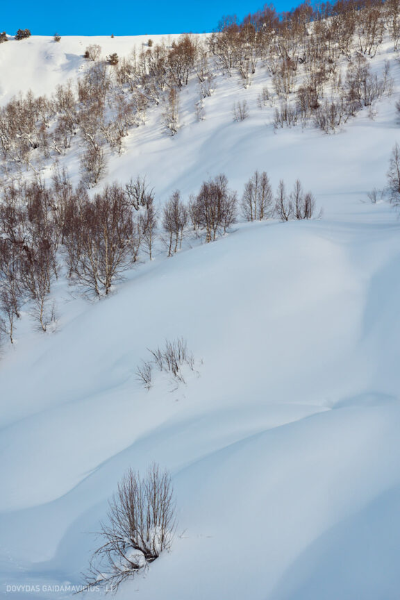 Sakartvelas, Gruzija, Mestia, Svaneti, Kelionė, Kalnai, Slidinėjimas, Žiema 2026 Fotografas: Dovydas Gaidamavičius Dovis www.Dovis.lt © www.DovydasGaidamavicius.lt  @DGaidamavicius