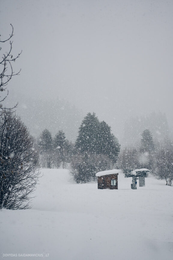 Sakartvelas, Gruzija, Mestia, Svaneti, Kelionė, Kalnai, Slidinėjimas, Žiema 2026 Fotografas: Dovydas Gaidamavičius Dovis www.Dovis.lt © www.DovydasGaidamavicius.lt  @DGaidamavicius