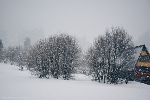 Sakartvelas, Gruzija, Mestia, Svaneti, Kelionė, Kalnai, Slidinėjimas, Žiema 2026 Fotografas: Dovydas Gaidamavičius Dovis www.Dovis.lt © www.DovydasGaidamavicius.lt  @DGaidamavicius